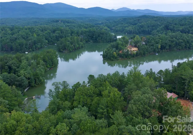 10th image of 3 South Pointe Rd, Mill Spring, NC 28756 | MLS# 4418772
