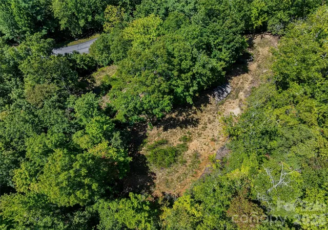 Photo 4 of Land for sale at 204 Forge Crst Dr #38, Mills River, NC 28759 | MLS# 4418794 | Listing updated on 2026-10-01