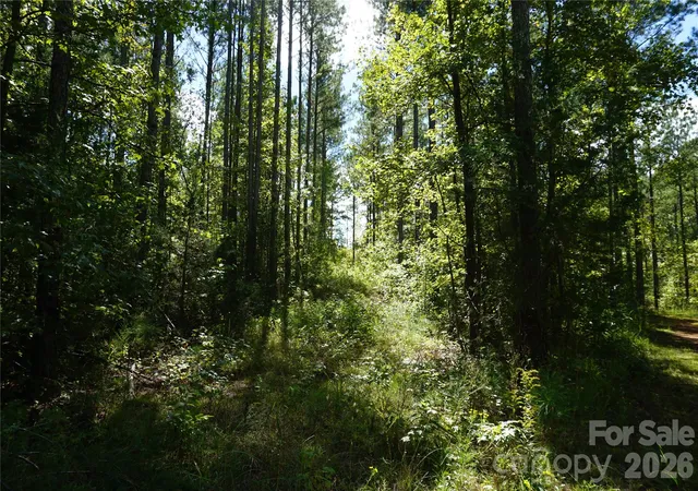 Photo 2 of Land for sale at 15+/  Ac Lot 2 Parson Rd, Mc Connells, SC 29726 | MLS# 4418829 | Listing updated on 2026-09-30