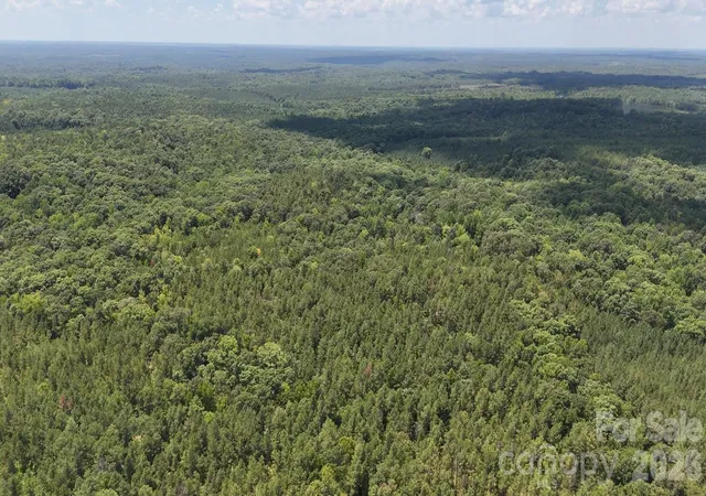 Photo 3 of Land for sale at 15+/- Ac Lot 2 Parson Rd, Mc Connells, SC 29726 | MLS# 4418829 | Listing updated on 2026-08-27