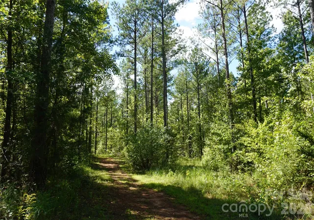 Photo 3 of Land for sale at 15+/  Ac Lot 2 Parson Rd, Mc Connells, SC 29726 | MLS# 4418829 | Listing updated on 2026-09-30