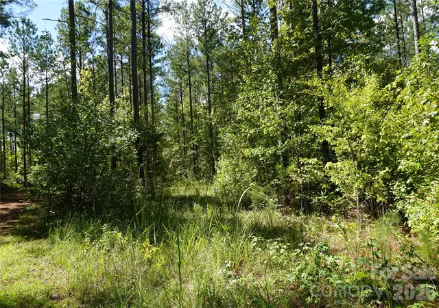 Photo 3 of Land for sale at 15+/- Ac Lot 2 Parson Rd, Mc Connells, SC 29726 | MLS# 4418829 | Listing updated on 2026-09-30