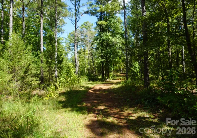 Photo 4 of Land for sale at 15+/- Ac Lot 2 Parson Rd, Mc Connells, SC 29726 | MLS# 4418829 | Listing updated on 2026-09-30