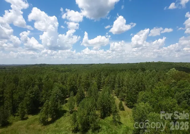 Photo 8 of Land for sale at 15+/  Ac Lot 2 Parson Rd, Mc Connells, SC 29726 | MLS# 4418829 | Listing updated on 2026-08-27