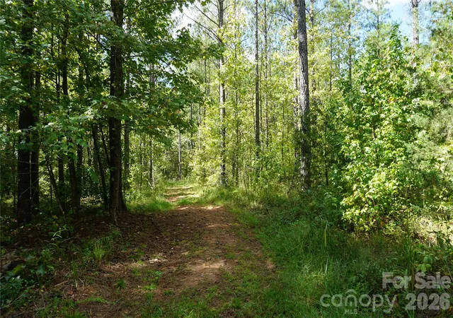 Photo 2 of Land for sale at 12+/  Ac Parson Rd #3, Mc Connells, SC 29726 | MLS# 4418832 | Listing updated on 2026-09-30