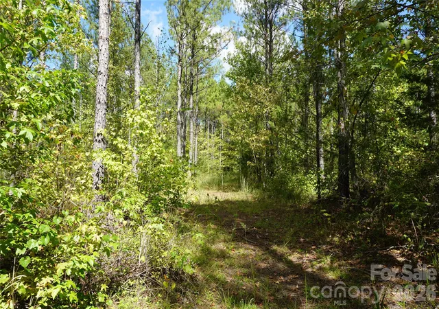 Photo 3 of Land for sale at 12+/  Ac Parson Rd #3, Mc Connells, SC 29726 | MLS# 4418832 | Listing updated on 2026-09-30