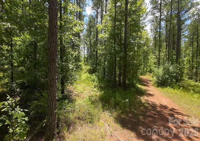 Photo 4 of Land for sale at 12+/- Ac Parson Rd #3, Mc Connells, SC 29726 | MLS# 4418832 | Listing updated on 2026-08-27
