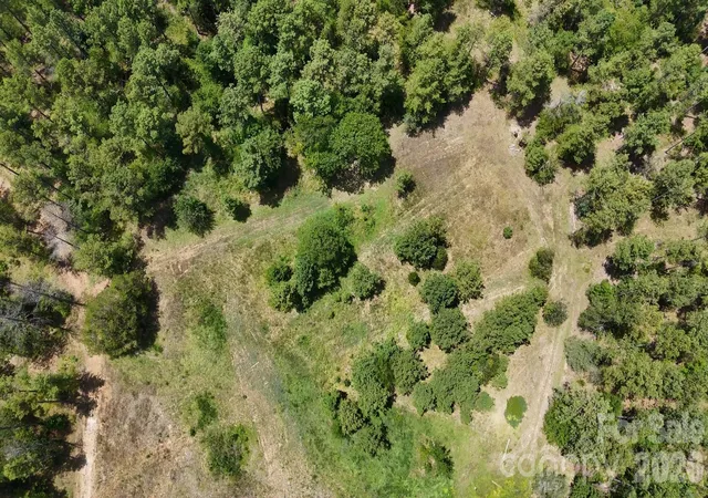 Photo 3 of Land for sale at 18+/- Ac Lot 4 Parson Rd, Mc Connells, SC 29726 | MLS# 4418834 | Listing updated on 2026-08-27