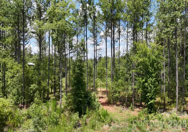 Photo 4 of Land for sale at 18+/- Ac Lot 4 Parson Rd, Mc Connells, SC 29726 | MLS# 4418834 | Listing updated on 2026-08-27