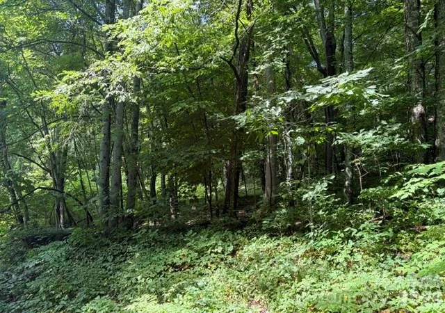Photo 3 of Land for sale at 194 Elk Hair Dr #1,191,194,195,196,197, Cullowhee, NC 28723 | MLS# 4418896 | Listing updated on 2026-09-04