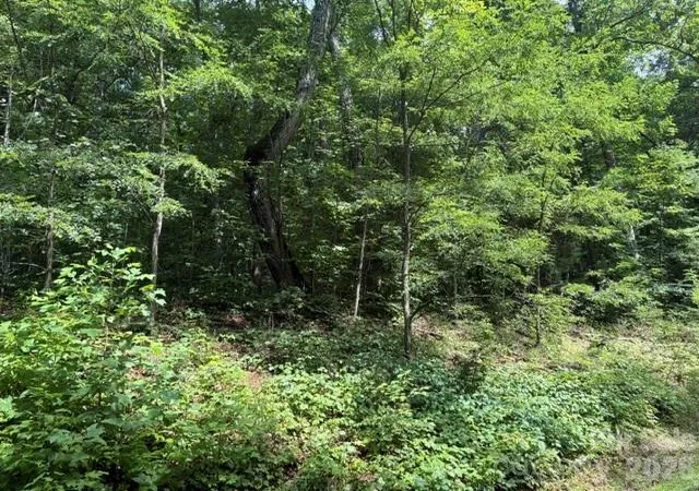 Photo 2 of Land for sale at 194 Elk Hair Dr #1,191,194,195,196,197, Cullowhee, NC 28723 | MLS# 4418896 | Listing updated on 2026-09-04