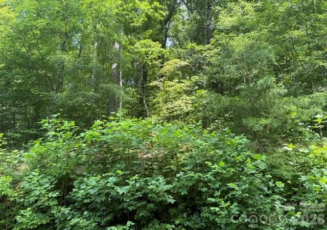 Photo 4 of Land for sale at 194 Elk Hair Dr #1,191,194,195,196,197, Cullowhee, NC 28723 | MLS# 4418896 | Listing updated on 2026-09-04