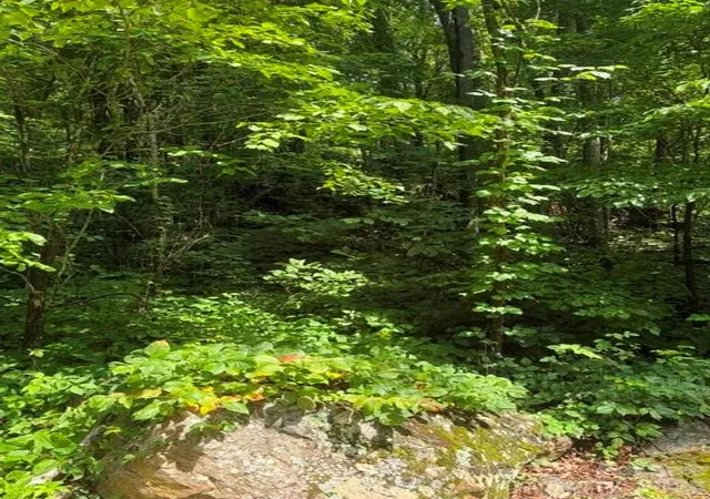 Photo 5 of Land for sale at 194 Elk Hair Dr #1,191,194,195,196,197, Cullowhee, NC 28723 | MLS# 4418896 | Listing updated on 2026-09-04