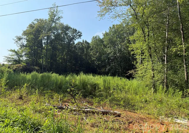 Photo 16 of Land for sale at Tbd Sincerity Rd, Monroe, NC 28110 | MLS# 4419003 | Listing updated on 2026-08-28