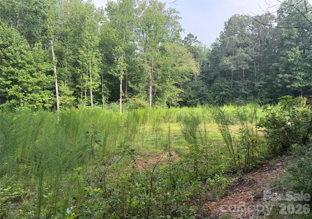 Photo 5 of Land for sale at Tbd Sincerity Rd, Monroe, NC 28110 | MLS# 4419003 | Listing updated on 2026-08-28
