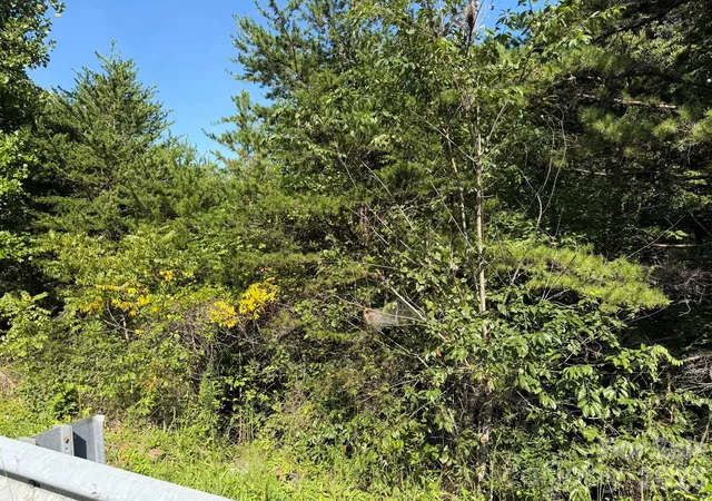 Photo 1 of Sale Pending at 00 John Bowman Rd, Hickory, NC 28602 | MLS# 4419039 | Listing updated on 2026-09-14