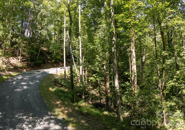 Photo 3 of Land for sale at 0 Weaver Ln, Lake Lure, NC 28746 | MLS# 4419105 | Listing updated on 2026-08-28