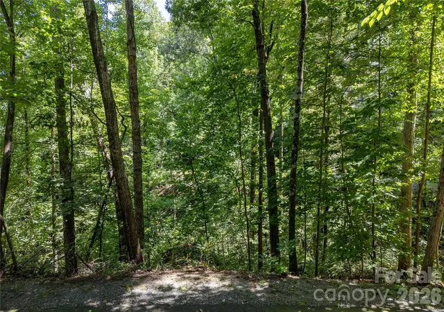 Photo 3 of Land for sale at 0 Weaver Ln, Lake Lure, NC 28746 | MLS# 4419105 | Listing updated on 2026-08-28