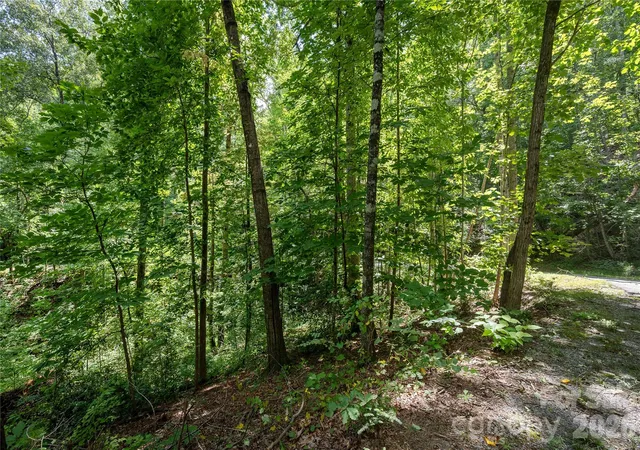 Photo 4 of Land for sale at 0 Weaver Ln, Lake Lure, NC 28746 | MLS# 4419105 | Listing updated on 2026-08-28