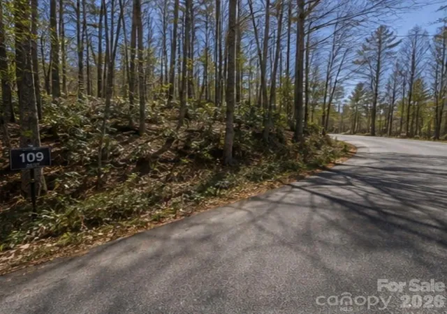 Photo 4 of Land for sale at 109 W Christy Trl, Sapphire, NC 28774 | MLS# 4419309 | Listing updated on 2026-08-28