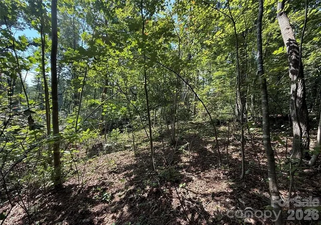 3rd image of 256 Burge Mountain Rd, Hendersonville, NC 28792 | MLS# 4419382