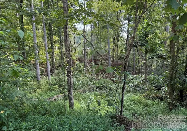 5th image of 256 Burge Mountain Rd, Hendersonville, NC 28792 | MLS# 4419382