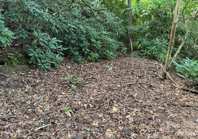 Photo 3 of Land for sale at 000 Wilson Rd, Pisgah Forest, NC 28768 | MLS# 4419412 | Listing updated on 2026-08-28