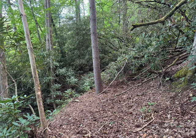 Photo 4 of Land for sale at 000 Wilson Rd, Pisgah Forest, NC 28768 | MLS# 4419412 | Listing updated on 2026-08-28