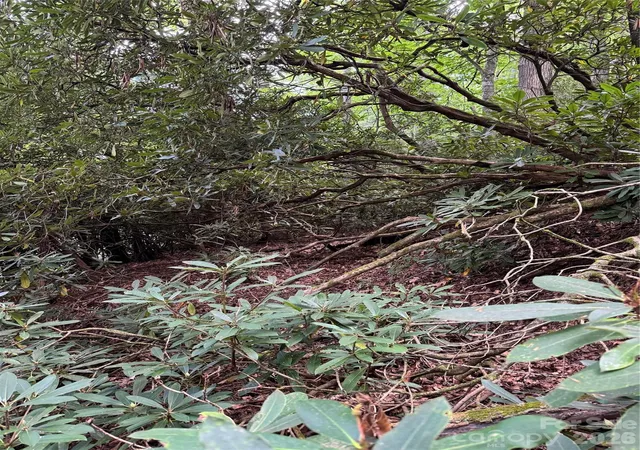 Photo 5 of Land for sale at 000 Wilson Rd, Pisgah Forest, NC 28768 | MLS# 4419412 | Listing updated on 2026-08-28