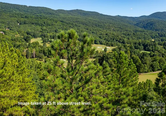2nd image of 2026 Deep Gap Farm Rd E, Mill Spring, NC 28756 | MLS# 4419429
