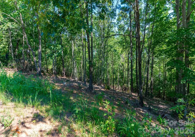 4th image of 2026 Deep Gap Farm Rd E, Mill Spring, NC 28756 | MLS# 4419429