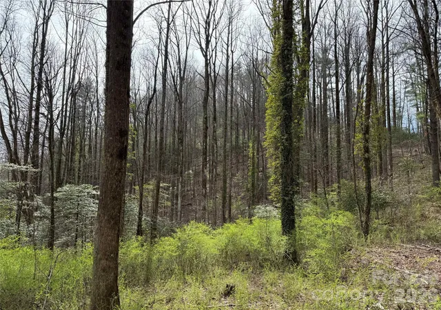 Photo 4 of Land for sale at L8 Black Bear Ct, Sapphire, NC 28774 | MLS# 4419589 | Listing updated on 2026-09-03
