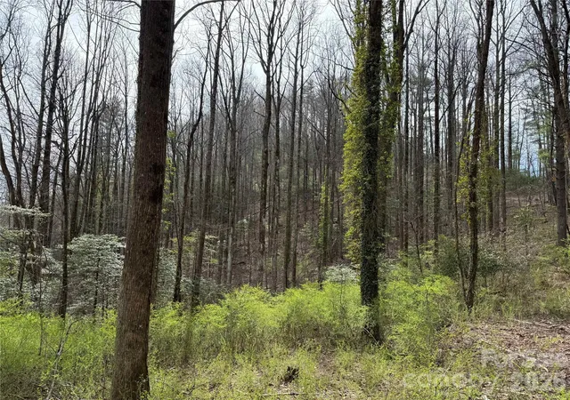 Photo 5 of Land for sale at L8 Black Bear Ct, Sapphire, NC 28774 | MLS# 4419589 | Listing updated on 2026-09-03