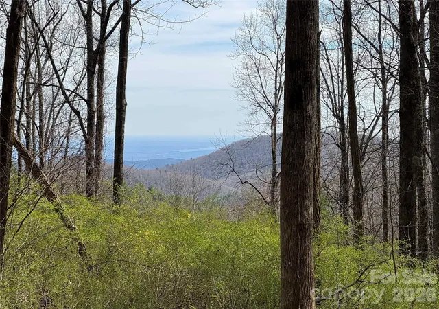 Photo 2 of Land for sale at L8 Black Bear Ct, Sapphire, NC 28774 | MLS# 4419589 | Listing updated on 2026-09-03