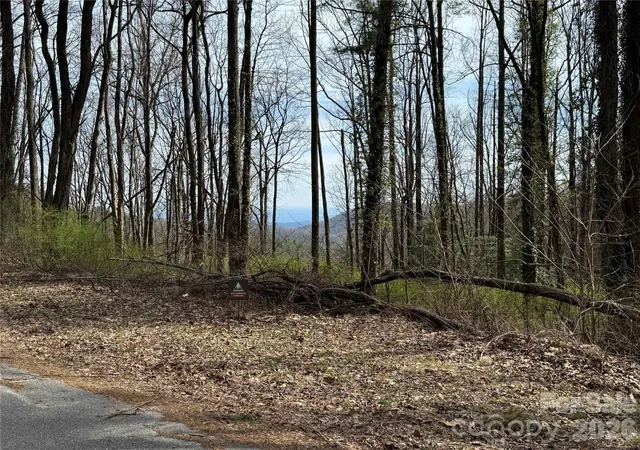 Photo 10 of Land for sale at L8 Black Bear Ct, Sapphire, NC 28774 | MLS# 4419589 | Listing updated on 2026-09-03