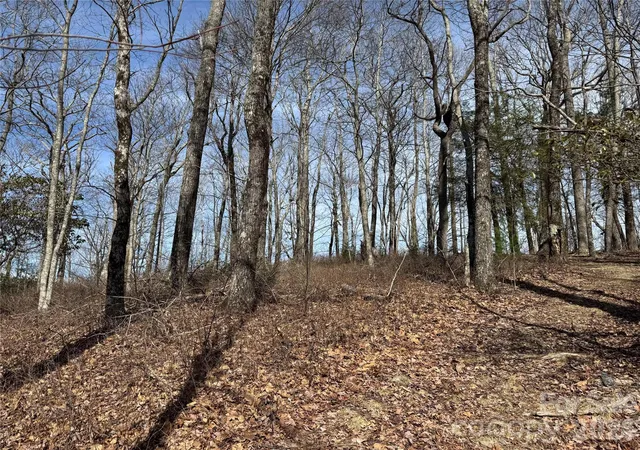 Photo 4 of Land for sale at L4 Windy Gap Ln, Sapphire, NC 28774 | MLS# 4419592 | Listing updated on 2026-09-03