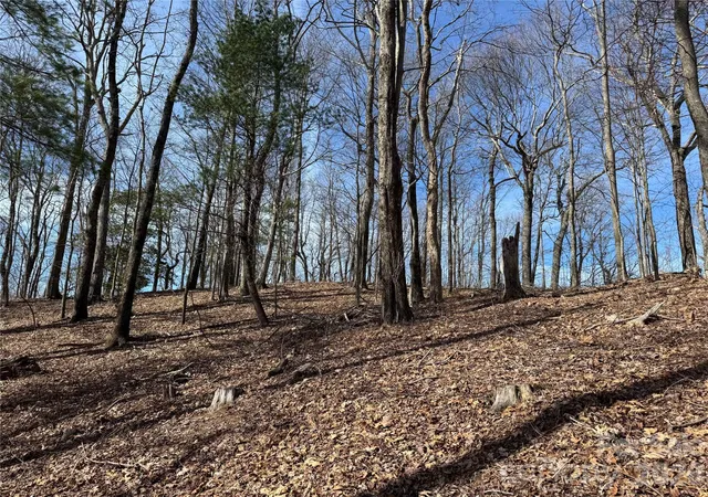 Photo 13 of Land for sale at L4 Windy Gap Ln, Sapphire, NC 28774 | MLS# 4419592 | Listing updated on 2026-09-03