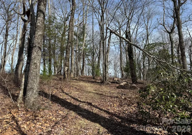 Photo 5 of Land for sale at L4 Windy Gap Ln, Sapphire, NC 28774 | MLS# 4419592 | Listing updated on 2026-09-03