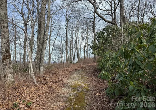 Photo 5 of Land for sale at L3 Windy Gap Ln, Sapphire, NC 28774 | MLS# 4419595 | Listing updated on 2026-09-03