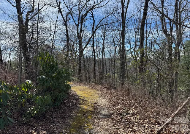 Photo 8 of Land for sale at L3 Windy Gap Ln, Sapphire, NC 28774 | MLS# 4419595 | Listing updated on 2026-09-03