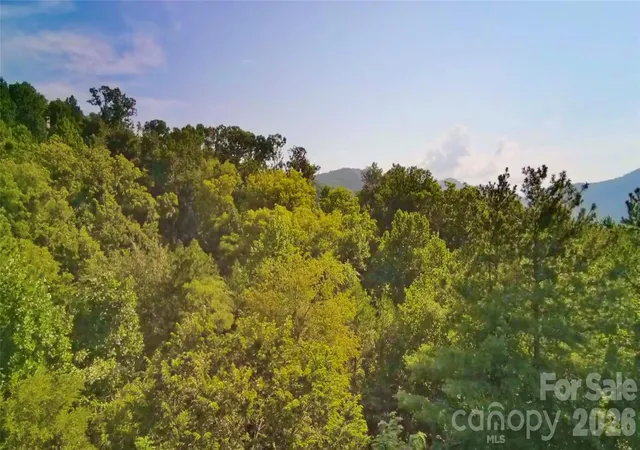 Photo 4 of Land for sale at 99999 Elk Mountain Ridge #12, Asheville, NC 28804 | MLS# 4419688 | Listing updated on 2026-09-01