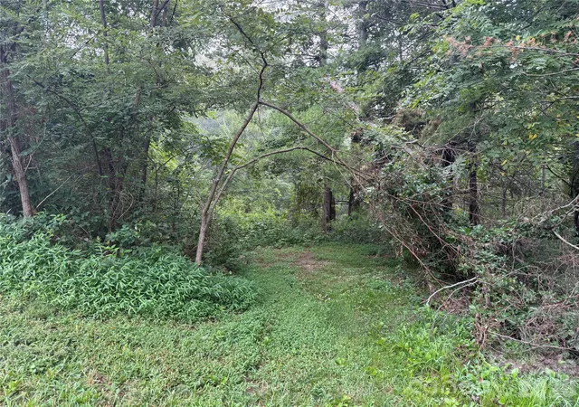Photo 3 of Land for sale at 99999 Elk Mountain Ridge #13, Asheville, NC 28804 | MLS# 4419694 | Listing updated on 2026-09-01