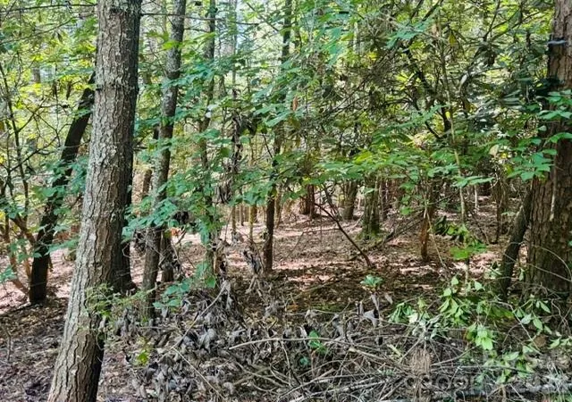 Photo 3 of Land for sale at 475 Old Little Mountain Rd, Pisgah Forest, NC 28768 | MLS# 4419740 | Listing updated on 2026-10-03