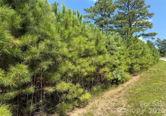 Photo 2 of Land for sale at V/l Coveside Dr #133, Granite Falls, NC 28630 | MLS# 4419746 | Listing updated on 2026-10-08