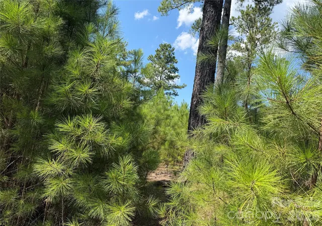 Photo 3 of Land for sale at V/l Coveside Dr #133, Granite Falls, NC 28630 | MLS# 4419746 | Listing updated on 2026-10-08