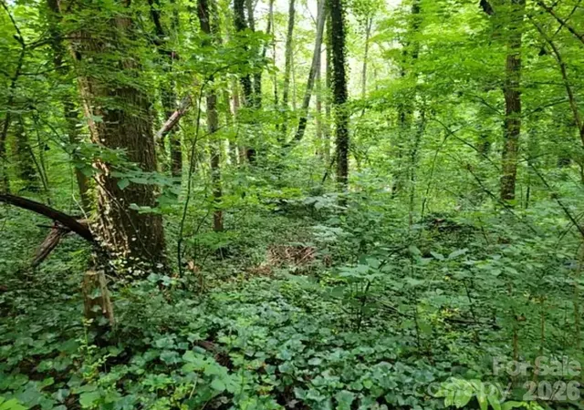 Photo 2 of Land for sale at 0 Rock Broad River Rd #21, Hendersonville, NC 28792 | MLS# 4419790 | Listing updated on 2026-09-01