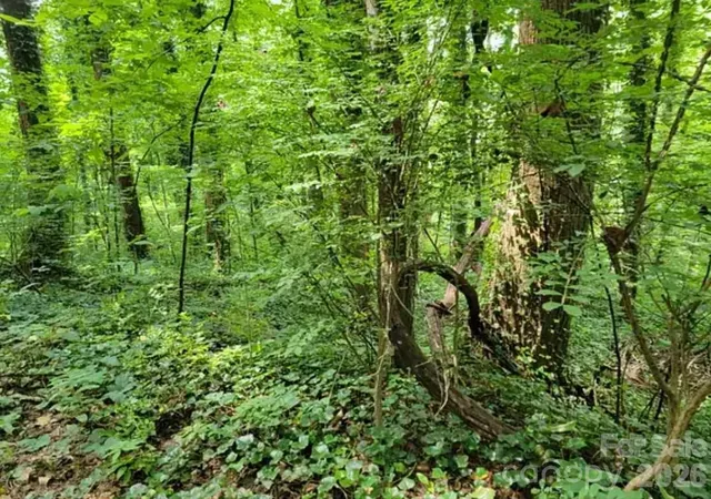 Photo 3 of Land for sale at 0 Rock Broad River Rd #21, Hendersonville, NC 28792 | MLS# 4419790 | Listing updated on 2026-09-01