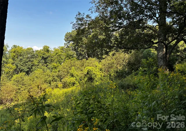 Photo 2 of Land for sale at #9 Sunset Mountain Rd, Bakersville, NC 28705 | MLS# 4419914 | Listing updated on 2026-08-31