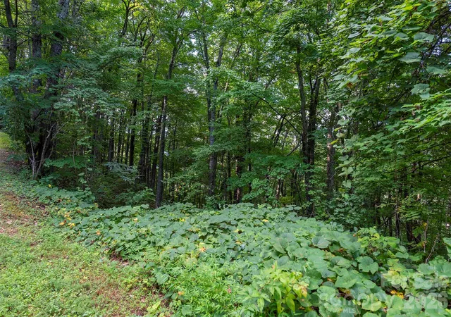 Photo 3 of Land for sale at 1405 North Hvn Dr, Old Fort, NC 28762 | MLS# 4420032 | Listing updated on 2026-10-03