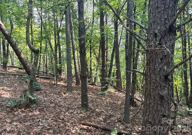 Land for sale at 242 Golden Crk Ridge, Union Mills, NC 28167 | MLS# 4420193